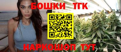 индика Кинель