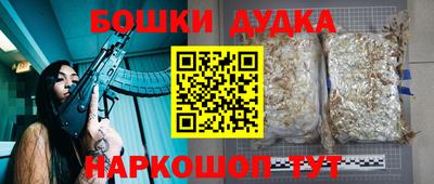 индика Кимры