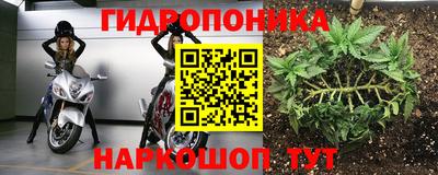 индика Кинель